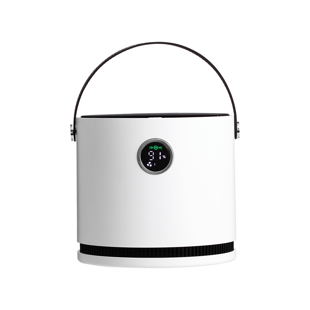 Portable Air Purifier, Removes Odor, Smoke, Pet Smell, Pollen, Mould, Dust and Germs, Air Cleaner for Home, Bedroom